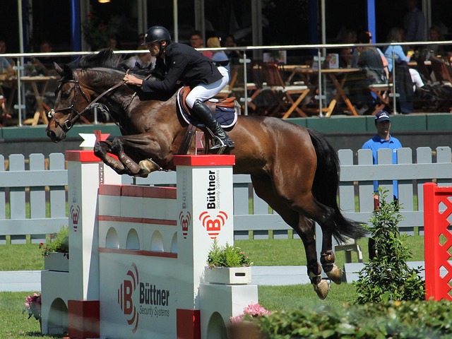 到基层实践 到基层实践