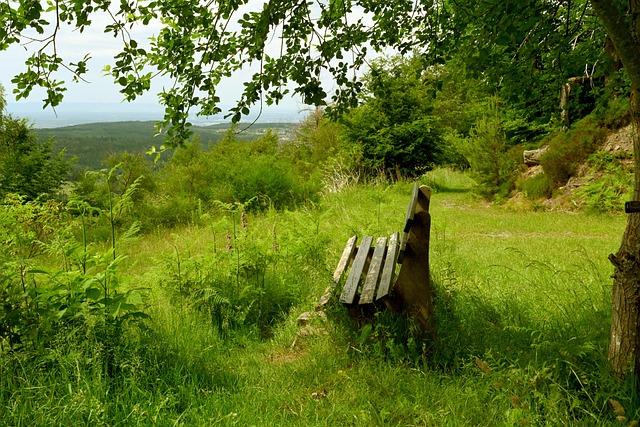 在这场充满 在这场充满