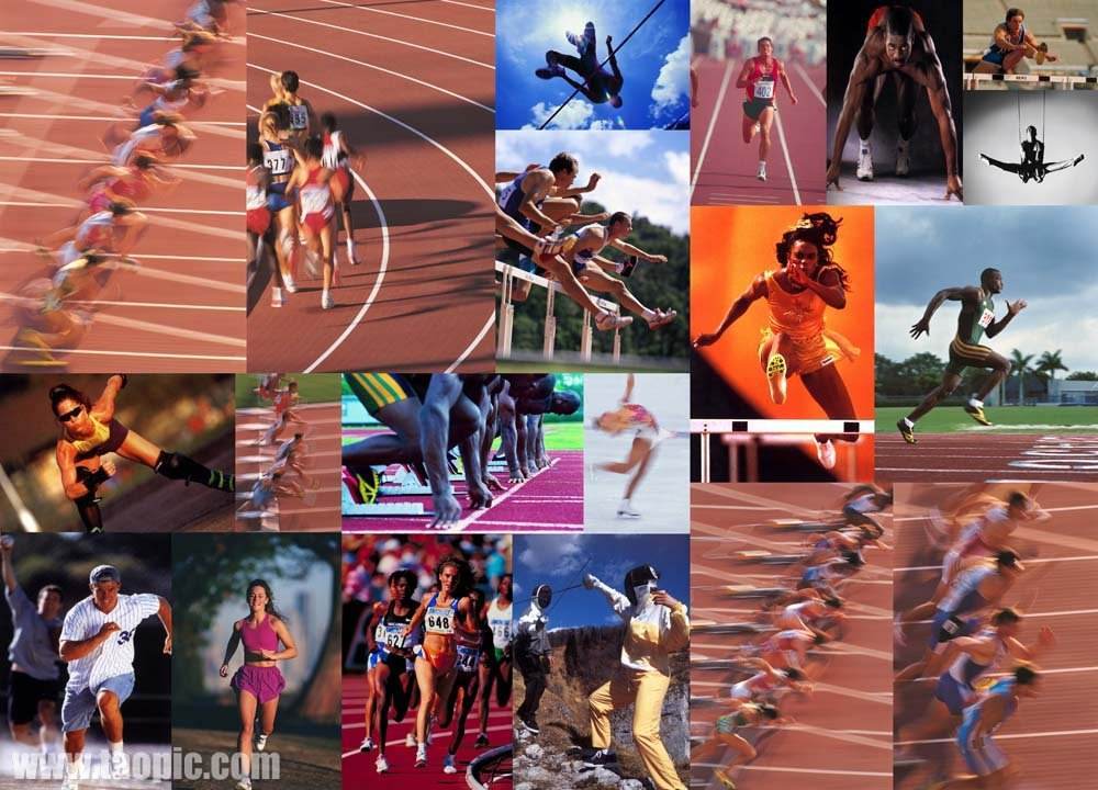 不胜枚举 不胜枚举