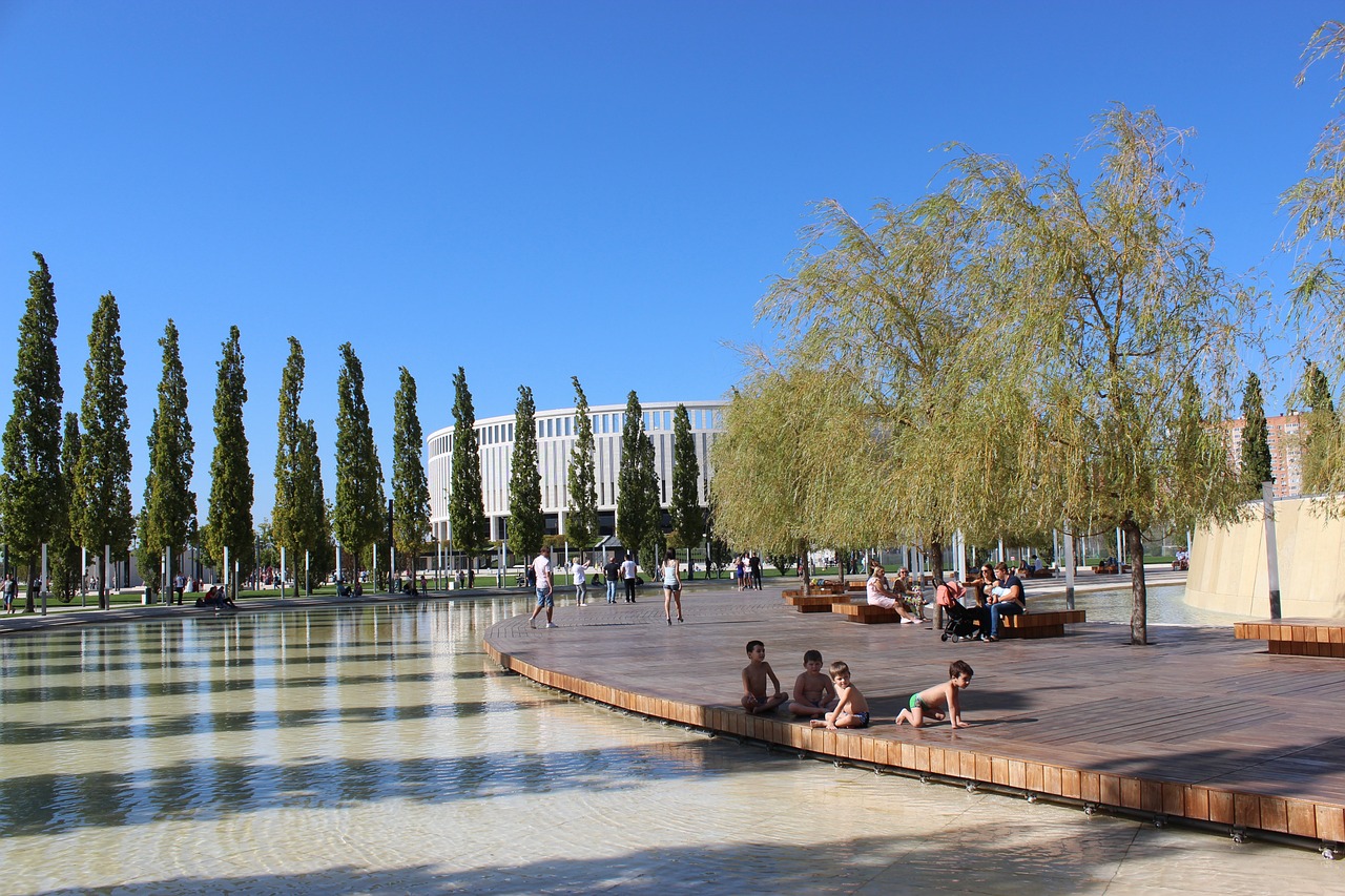 的决定既是 的决定既是